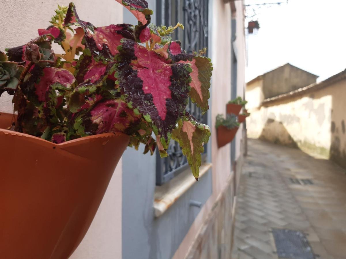 Santa Severina Appartamento Per Turisti Filoxenia מראה חיצוני תמונה